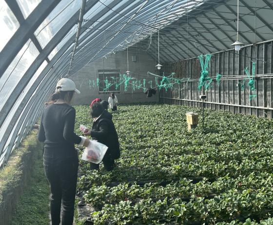 0f9769fea68a1355df74c8cec7e6da4